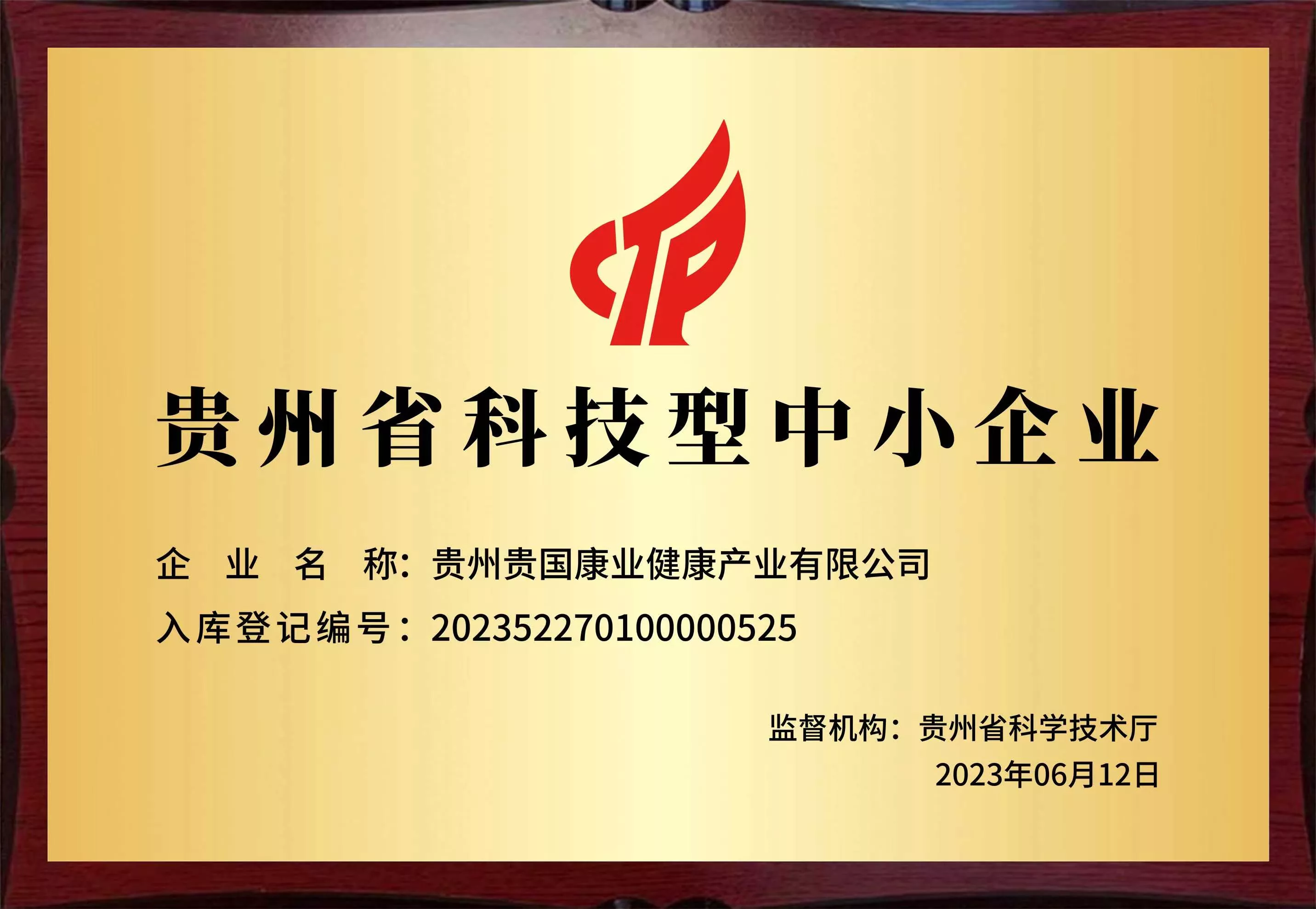 大乐迪，行业创新品牌